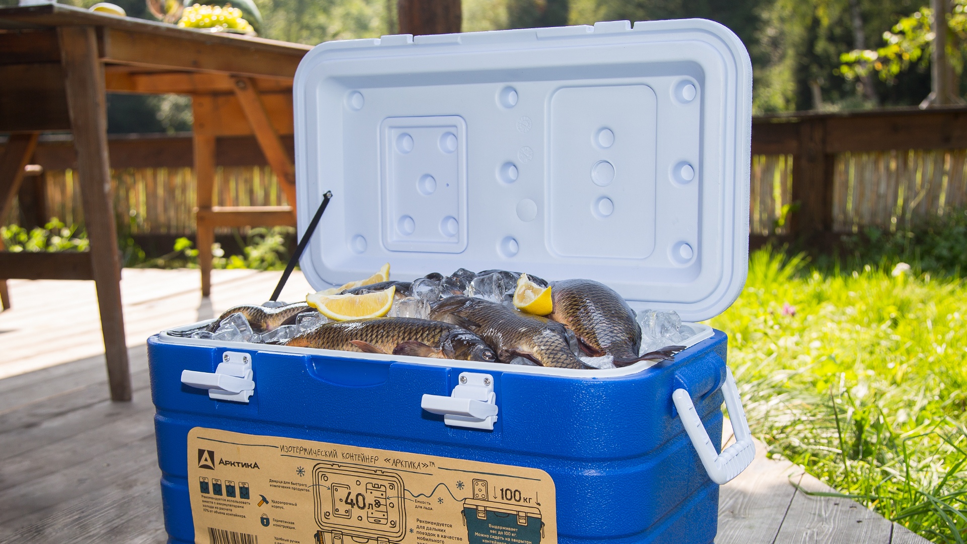 Изотермический контейнер Арктика 2000-20 20л. - туристическое снаряжение в Минске. Фото �10 Изотермический контейнер Арктика 2000-20 20л. - туристическое снаряжение в Минске. Фото �10