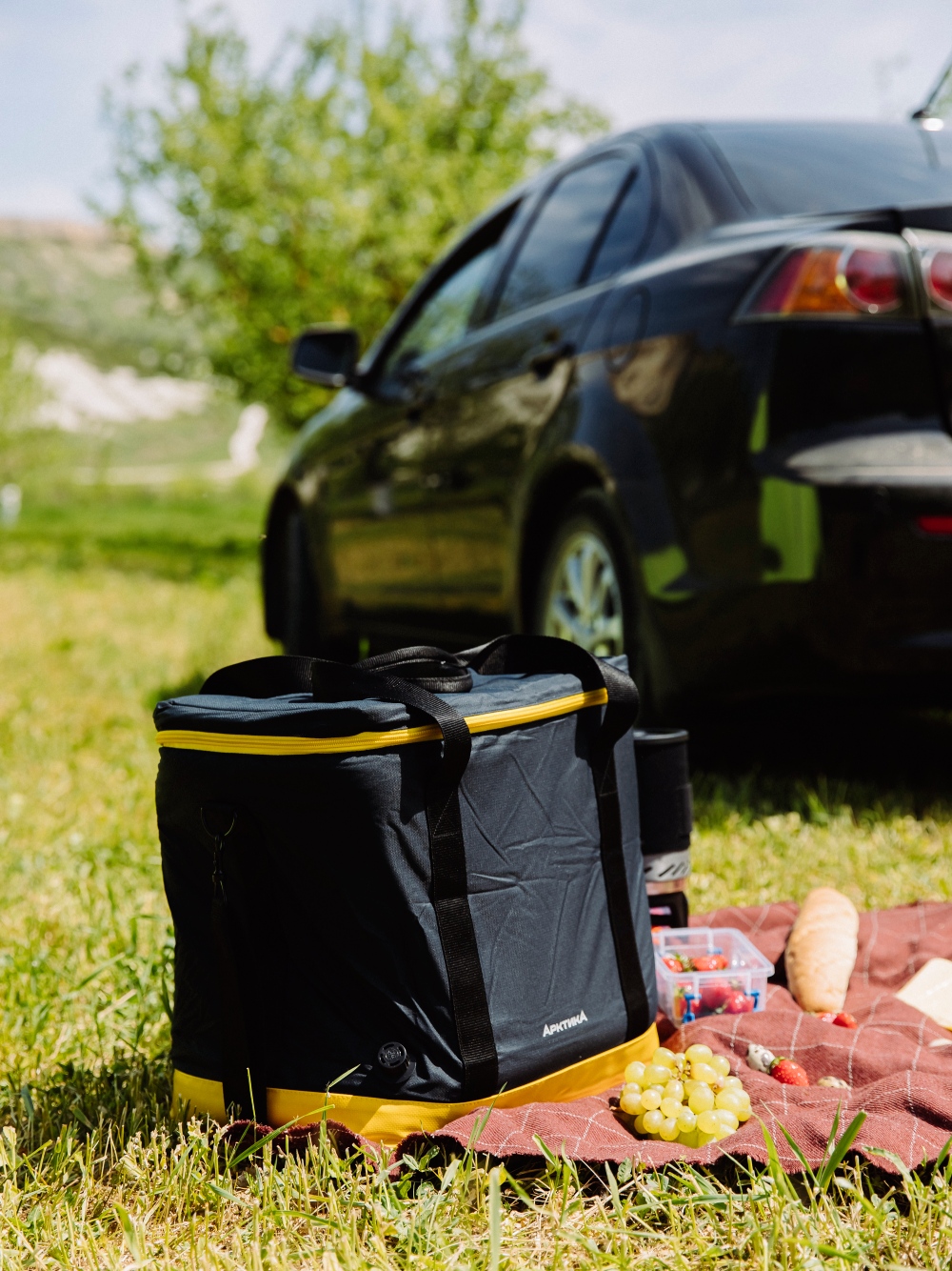 Термосумка Арктика 010-30 30 л. Порт Диксон  - туристическое снаряжение в Минске. Фото �2 Термосумка Арктика 010-30 30 л. Порт Диксон  - туристическое снаряжение в Минске. Фото �2