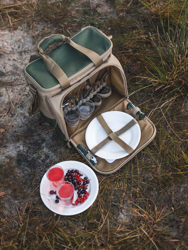 Термосумка Арктика 4100-4 с набором посуды - туристическое снаряжение в Минске. Фото �8 Термосумка Арктика 4100-4 с набором посуды - туристическое снаряжение в Минске. Фото �8